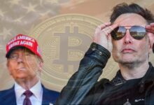 هل سيؤثر خلاف ترمب وماسك على البيتكوين؟