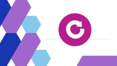 عملة PYN الرقمية