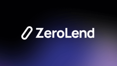 هل عملة ZERO حلال
