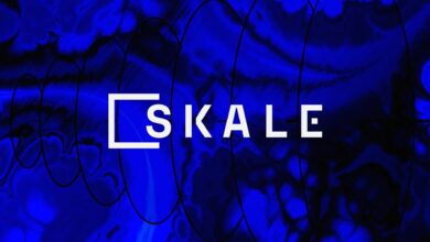 لماذا يشكل ارتفاع سعر SKALE مصدر قلق للمتداولين؟