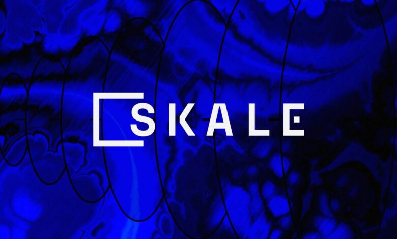لماذا يشكل ارتفاع سعر SKALE مصدر قلق للمتداولين؟