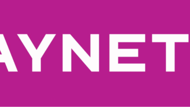 عملة PYN الرقمية