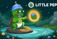 هل عملة LILPEPE حلال