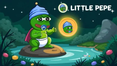 هل عملة LILPEPE حلال
