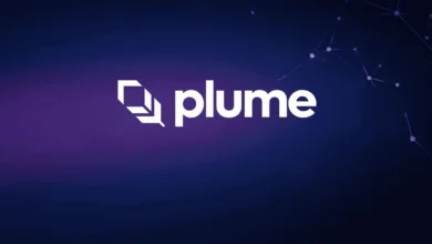 هل عملة PLUME حلال