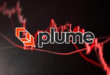 عملة PLUME الرقمية