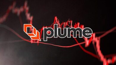 عملة PLUME الرقمية