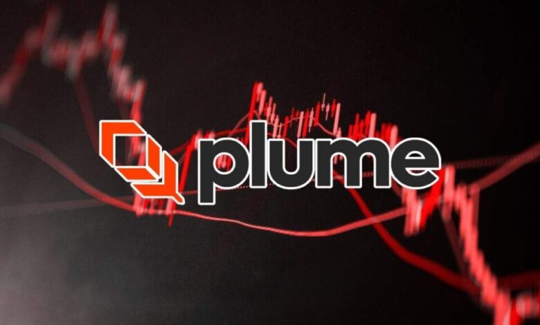 تعرف أكثر على عملة PLUME الرقمية 1 عملة PLUME الرقمية