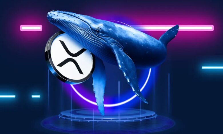 ريبل ترتفع والحيتان تثير المشاكل