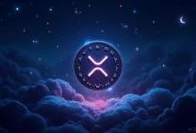عملة XRP NIGHT: إليك ما تريد معرفته