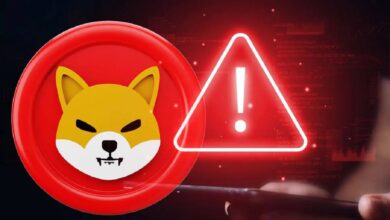 فريق شيبا إينو يصدر تحذيرا بشأن اختراقات المحفظة