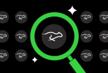 إليكم السبب وراء ارتفاع سعر كيتا اليوم