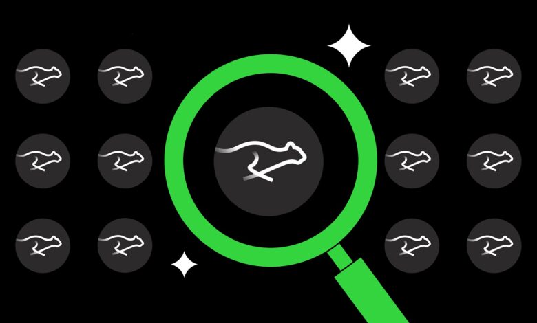 إليكم السبب وراء ارتفاع سعر كيتا اليوم