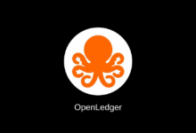 عملة OPEN الرقمية