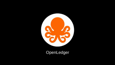 عملة OPEN الرقمية