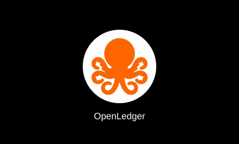 تعرف أكثر على عملة OPEN الرقمية 1 عملة OPEN الرقمية