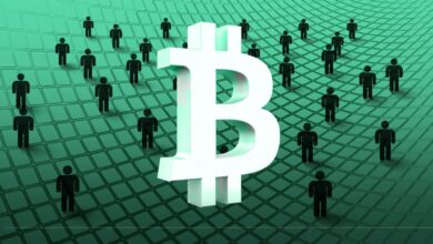 مستثمر بيتكوين مخضرم يحذر المستثمرين من تتبع نهج مايكروستراتيجي: إليك ما قاله