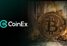 IMG 20251125 135601 912