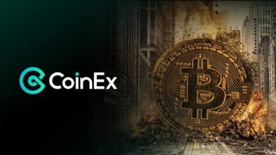 IMG 20251125 135601 912