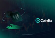 IMG 20251201 173631 457