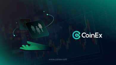 IMG 20251201 173631 457