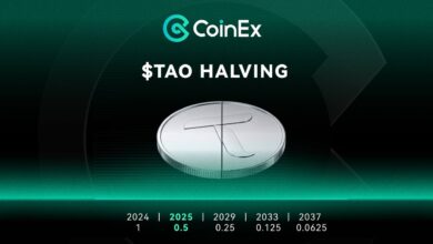 ما هو حدث تنصيف Bittensor؟ دليل شامل لحدث TAO في ديسمبر 2025 4 IMG 20251211 152643 076