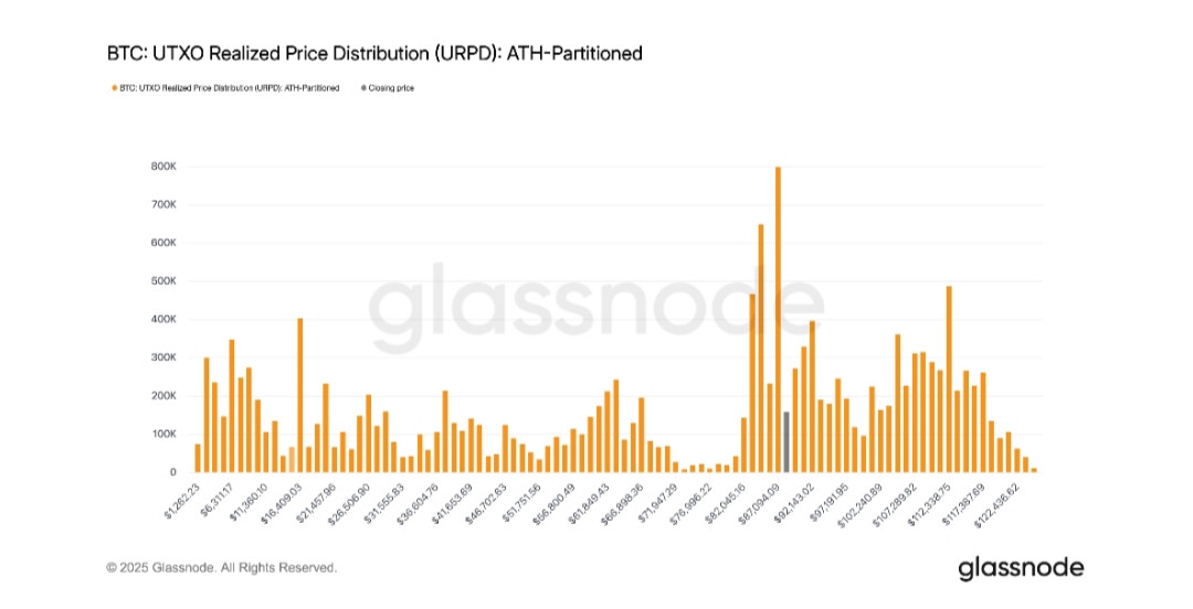 IMG ٢٠٢٥١٢٣١ ١٤٥٨٥٣