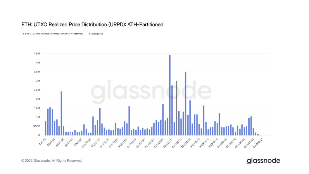 IMG ٢٠٢٥١٢٣١ ١٤٥٩١٤