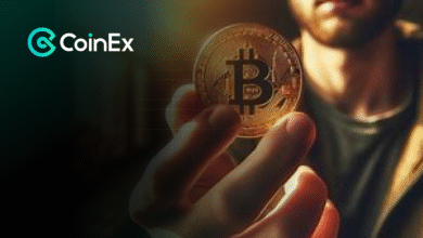 IMG 20260209 163339 774