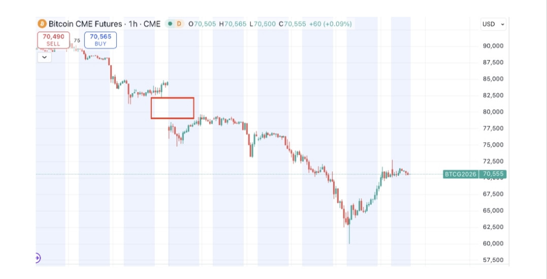 IMG ٢٠٢٦٠٢٠٩ ١٦٤١٥١