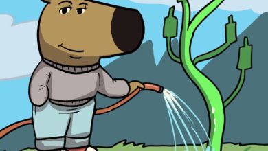 توقعات سعر عملة CHILLGUY لعام 2026: هل ستشهد عملة انتعاشا؟ 6 543664b1bad0fbfe146996fa23abc71a0e181db1