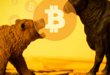 20260407 133020 ٠٠٠٠