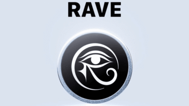 بين الاختراق الحقيقي والوهم.. إليك الحقيقة الكاملة وراء انفجار سعر RAVE الصاروخي 5 4e7d0707211c3c0d930e559754fc2497