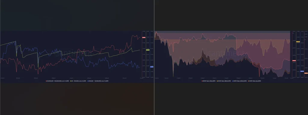 عملة XRP