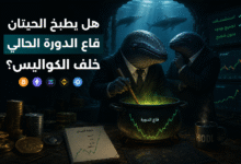 هل يطبخ الحيتان قاع الدورة الحالي خلف الكواليس