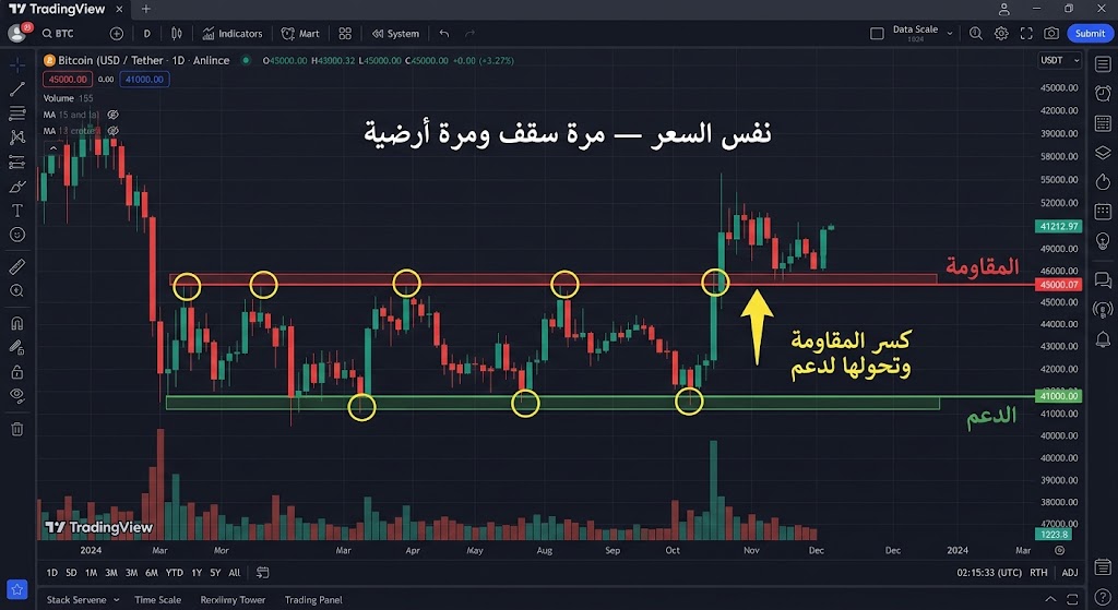 مستويات الدعم والمقاومة